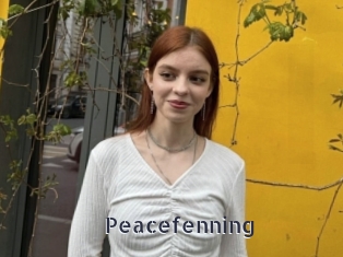 Peacefenning