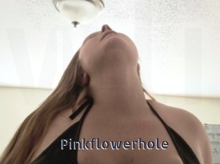 Pinkflowerhole