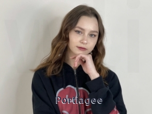 Portiagee