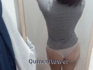 Quinceflower