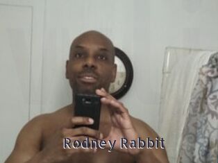 Rodney_Rabbit