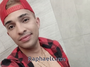 Raphaelcams