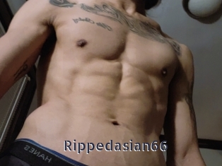 Rippedasian66