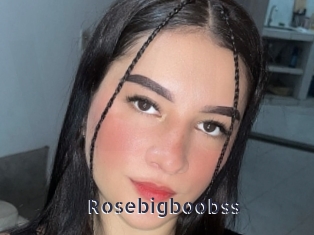 Rosebigboobss