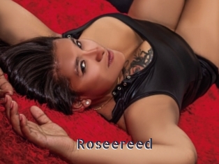 Roseereed