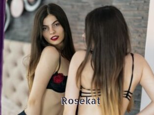 Rosekat