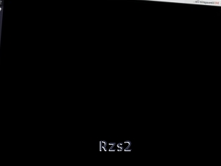 Rzs2