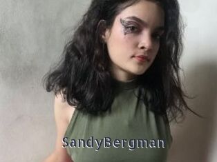 SandyBergman