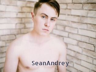 SeanAndrey