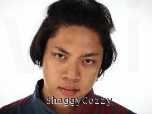 ShaggyCozzy