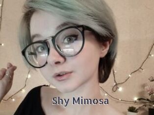 Shy_Mimosa