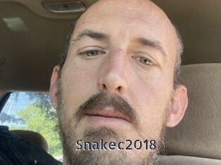 Snakec2018