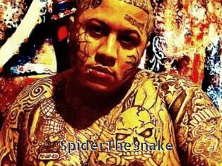 SpiderTheSnake