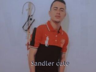 Sandler_cute