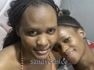 Sandycanice