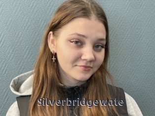 Silverbridgewate