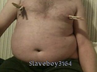 Slaveboy3164