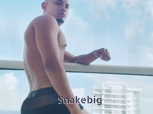 Snakebig