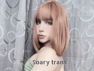 Soary_trans