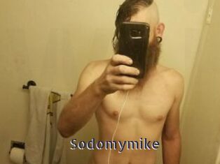 Sodomymike