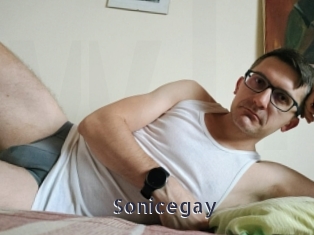 Sonicegay