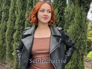 Sophicherrie