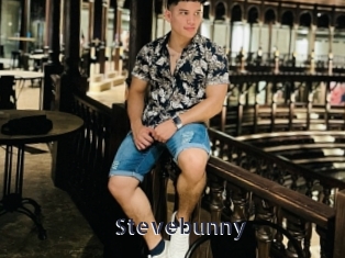 Stevebunny