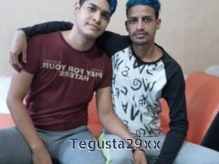 Tegusta29xx