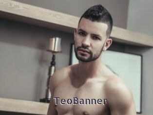 TeoBanner