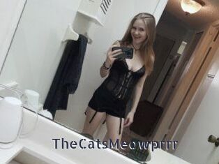 TheCatsMeowprrr