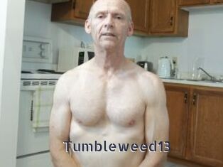 Tumbleweed13