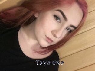 Taya_exe