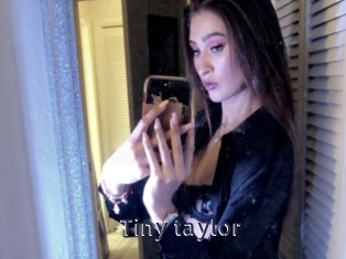 Tiny_taylor