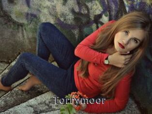 Torrymoor