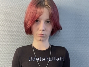 Udelehallett