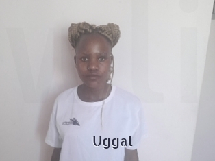 Uggal