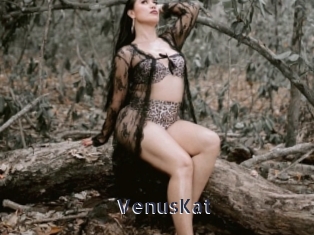 VenusKat