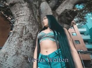 Venus_Walton