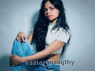 Vaalerynaugthy