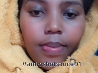 Vamleshotsauce01