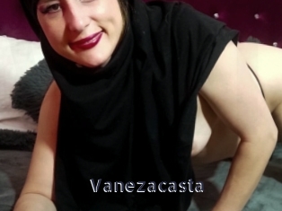 Vanezacasta