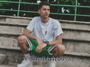 Velamikbarbosa