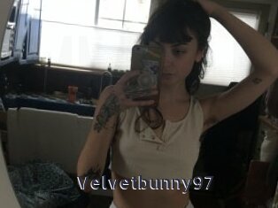 Velvetbunny97