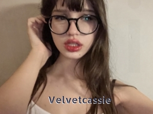 Velvetcassie