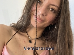 Venusrossee