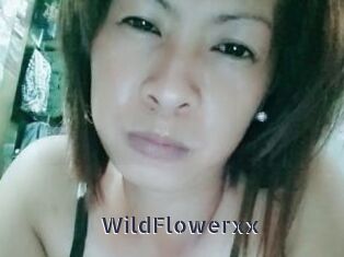 WildFlowerxx