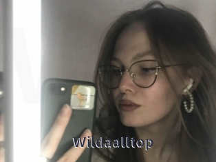 Wildaalltop