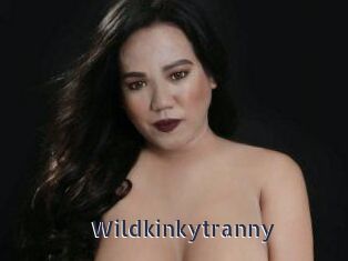 Wildkinkytranny