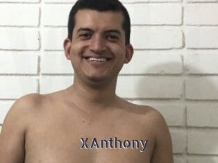 XAnthony