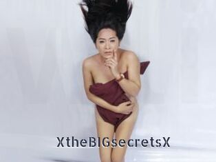 XtheBIGsecretsX